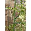 3-Pack of Tomato Plant Cage Climbing Fruit Veggie Garden Trellis